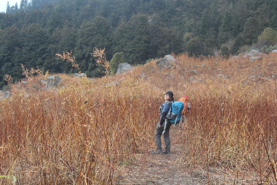 Photo of Grahan Camp - Sar Pass (YHAI), Sosan, Himachal Pradesh, India by Tani Siga