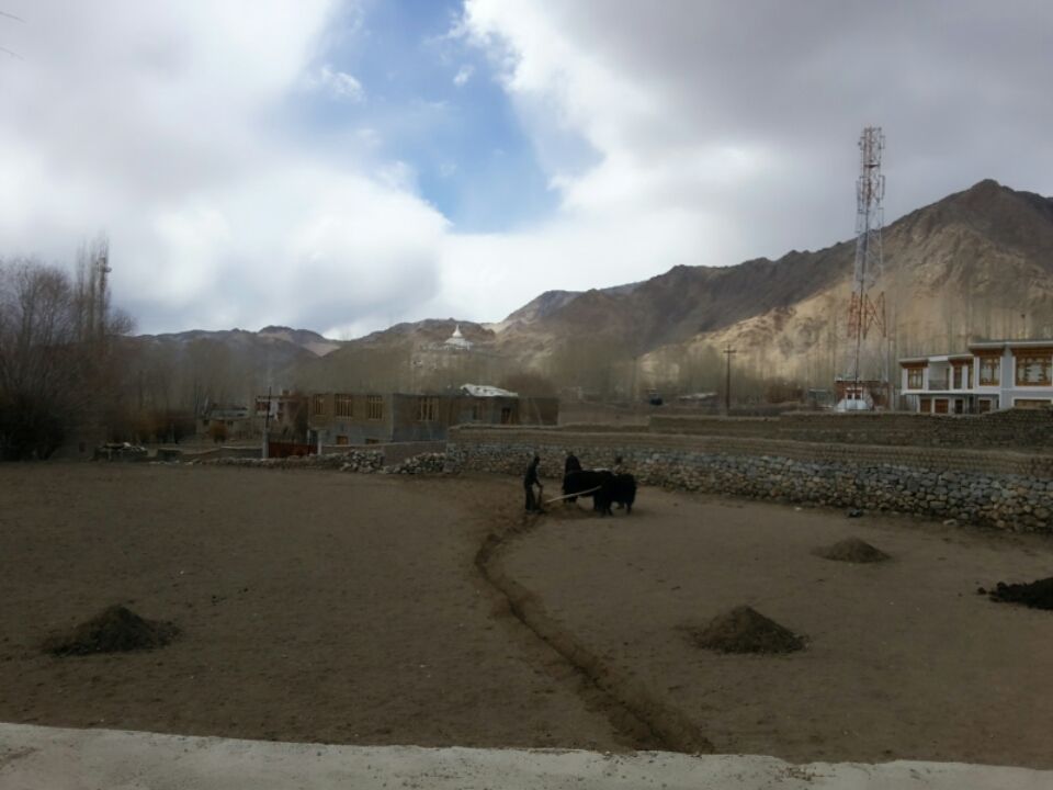Photo of Leh by paras panchal