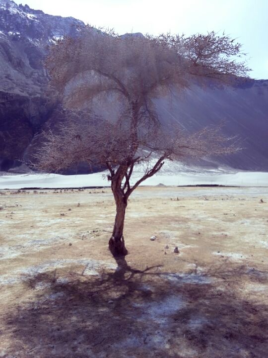 Photo of Leh by paras panchal
