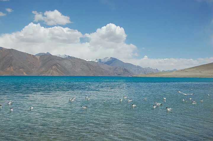 Photo of Leh by paras panchal