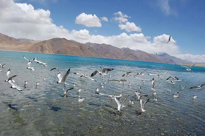 Photo of Leh by paras panchal