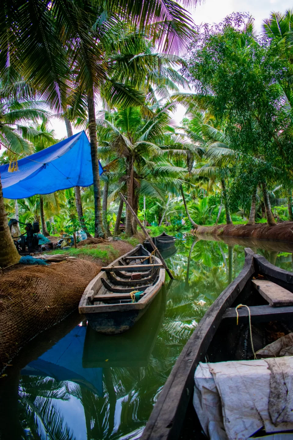 Photo of Munroe Island By Mayank Jain