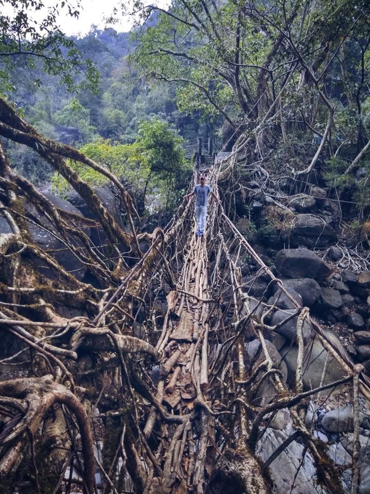 Photo of My 20-Days #Solo Journey in #Meghalaya #northeastitinerary by Aditya Samadhiya