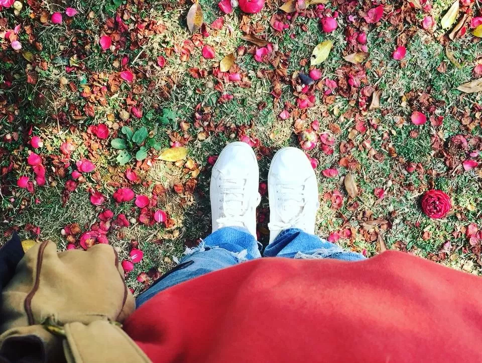 Photo of Shillong, Meghalaya, India by Aditya Samadhiya