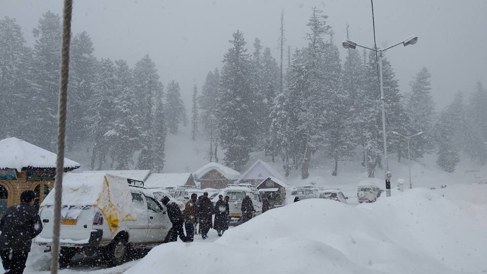 Photo of My 15 Days Solo Journey to Jammu & Kashmir 4/19 by Aditya Samadhiya