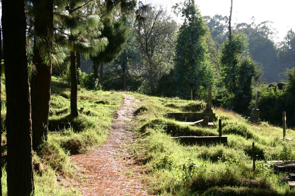 Photo of Why Ooty is Awesome: Best Things to do 3/8 by Aditya Samadhiya