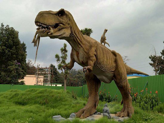 Photo of Why Ooty is Awesome: Best Things to do 5/8 by Aditya Samadhiya