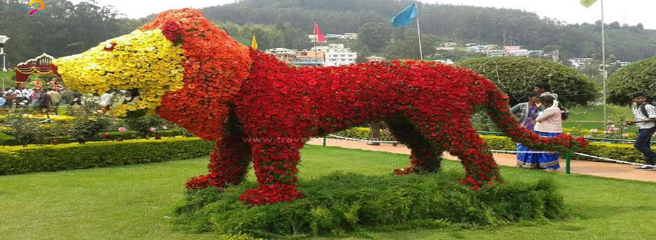Photo of Why Ooty is Awesome: Best Things to do 8/8 by Aditya Samadhiya