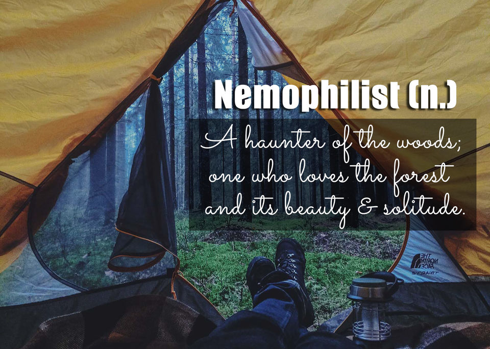 Photo of 25 Travel Words that Wanderlust should have in their Lexicon 9/11 by Aditya Samadhiya