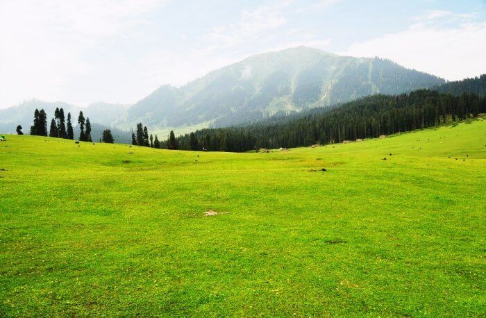 Photo of Top 5: Best places to visit in Kashmir for travel enthusiasts 5/7 by Aditya Samadhiya