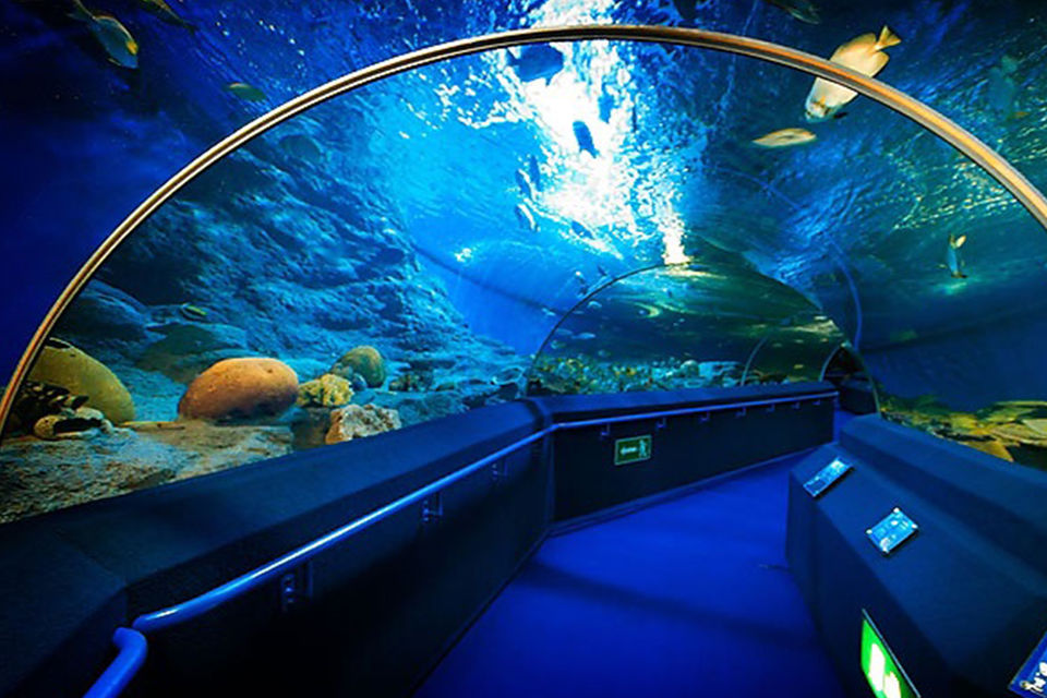 Photo of Top 10 : Best Things To Do In #Thailand 7/12 by Aditya Samadhiya