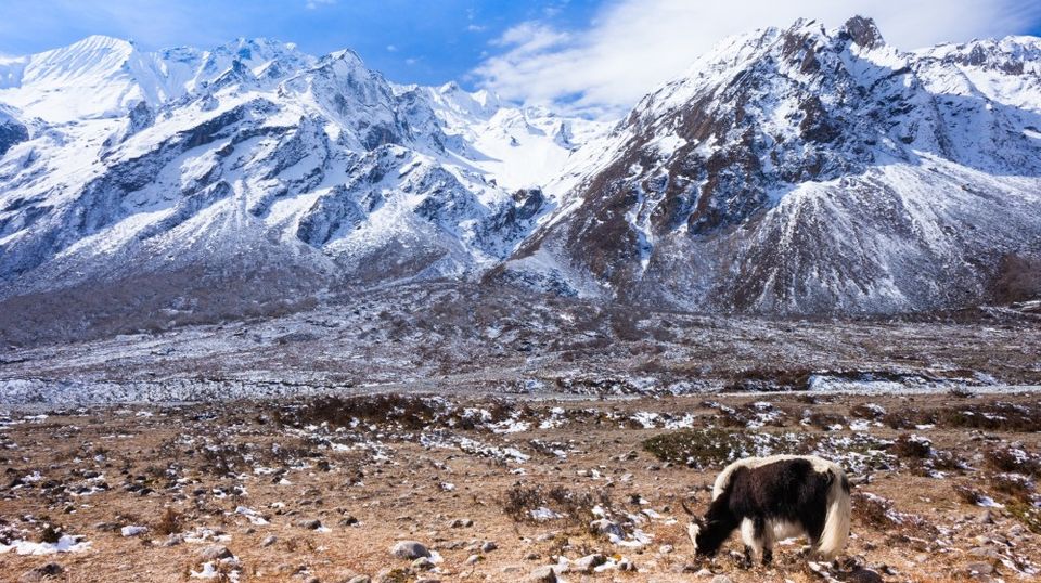 Photo of Best places to visit in Nepal 7/7 by Aditya Samadhiya