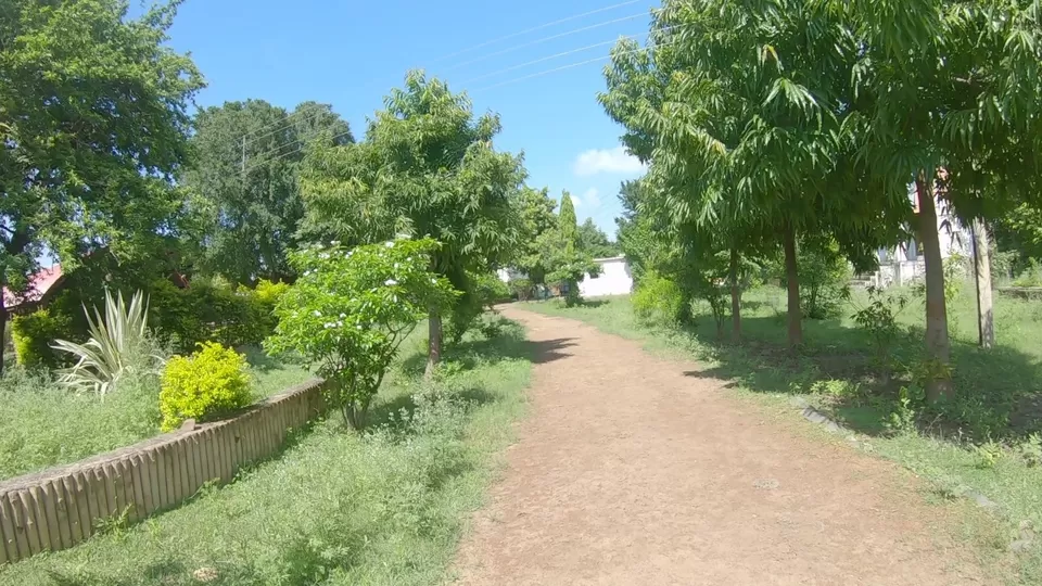 Photo of Madkudweep: The Quaint Island Hiding Inside the Landlocked Chhattisgarh by The Rooted Nomads (Ria Chaudhury)