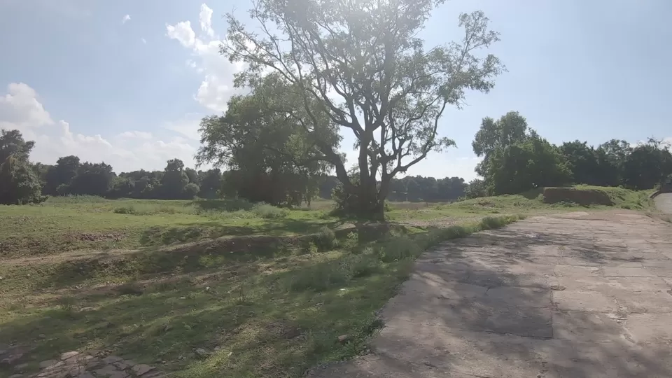 Photo of Madkudweep: The Quaint Island Hiding Inside the Landlocked Chhattisgarh by The Rooted Nomads (Ria Chaudhury)