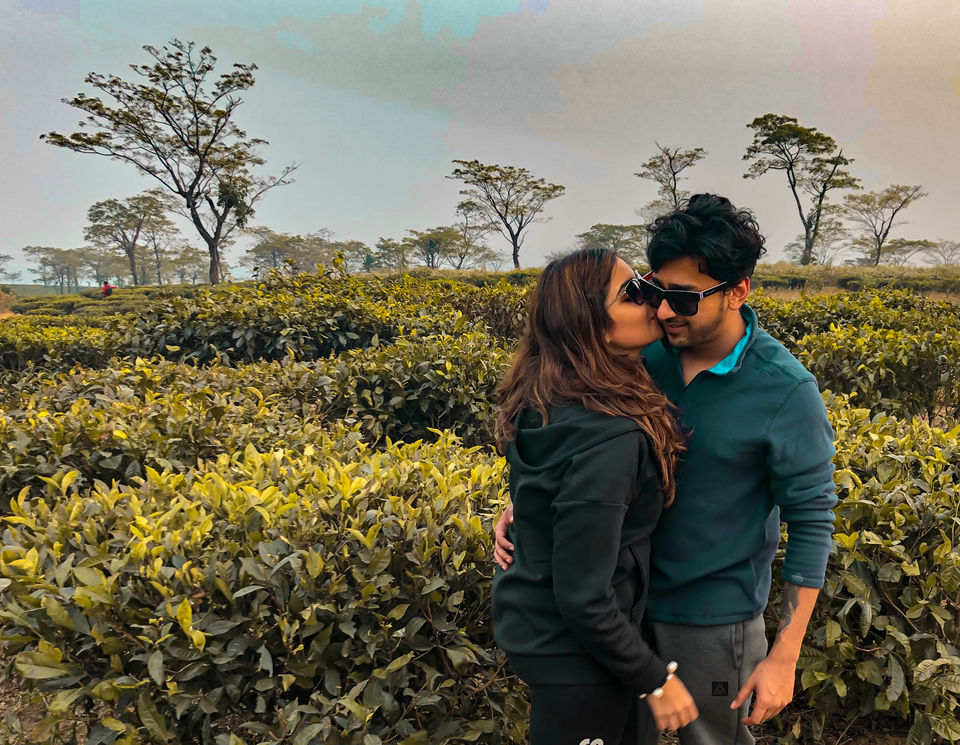Photo of The Travel that Changed us - Happy Valley Tea Estate , Darjeeling by A Festival Called Life