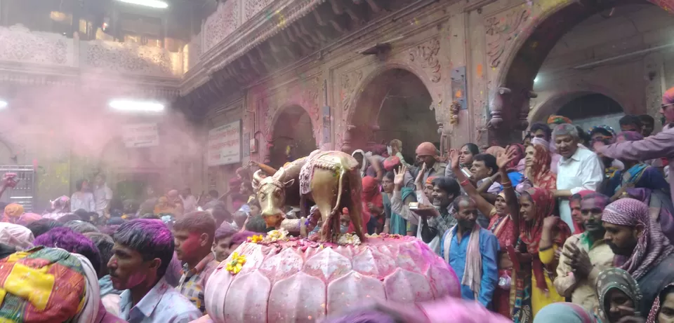 Photo of Vrindavan, Uttar Pradesh, India by saksham raj gupta