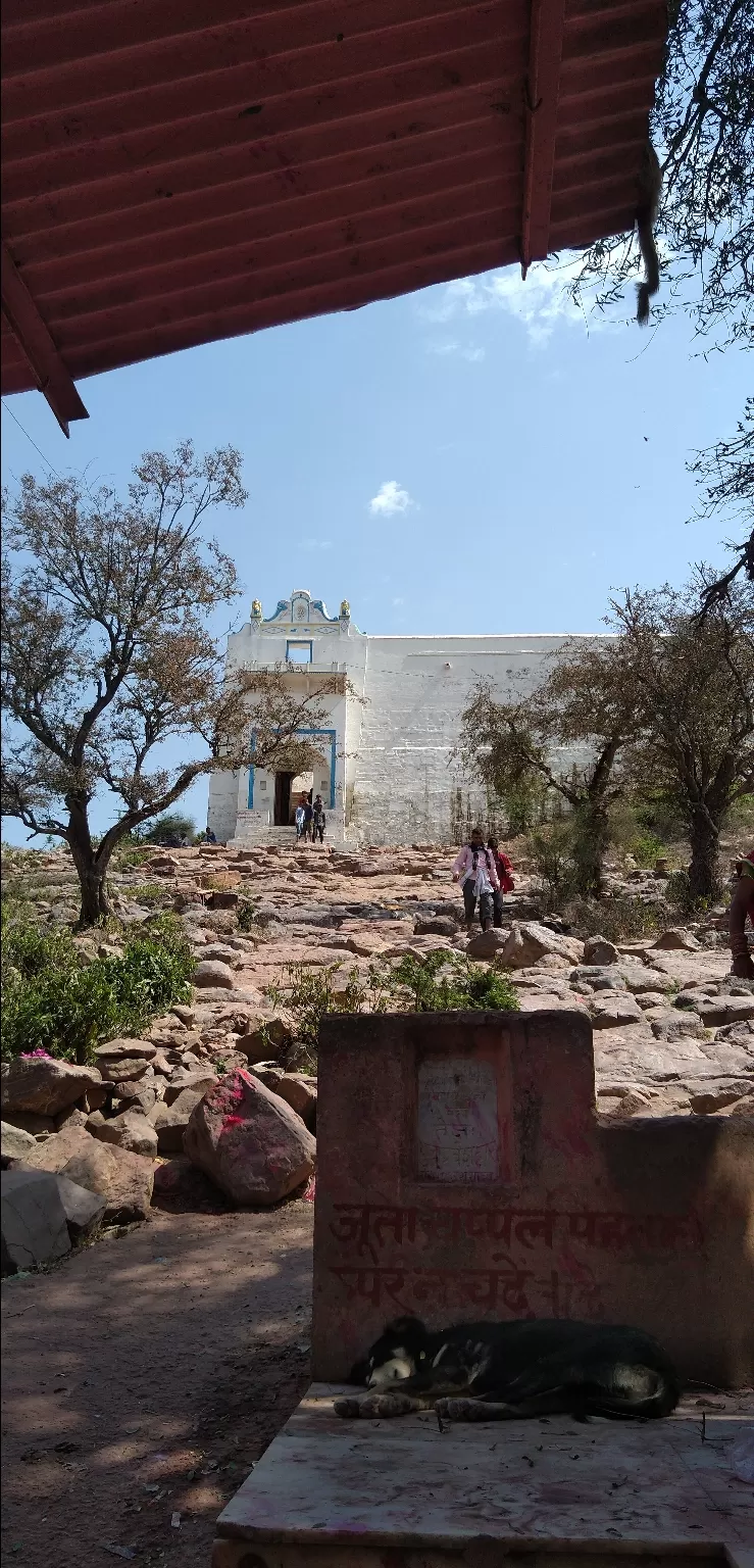 Photo of Vrindavan, Uttar Pradesh, India by saksham raj gupta