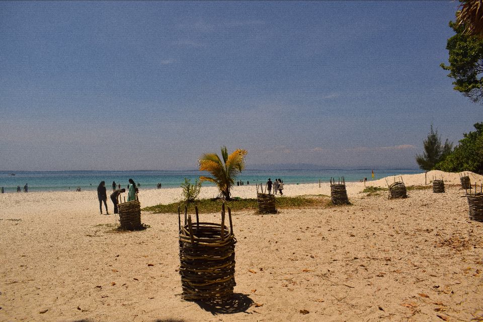 Photo of Radhanagar Beach by Bratati Adhikari