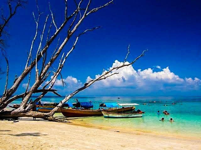 Photo of Elephant Beach by Bratati Adhikari