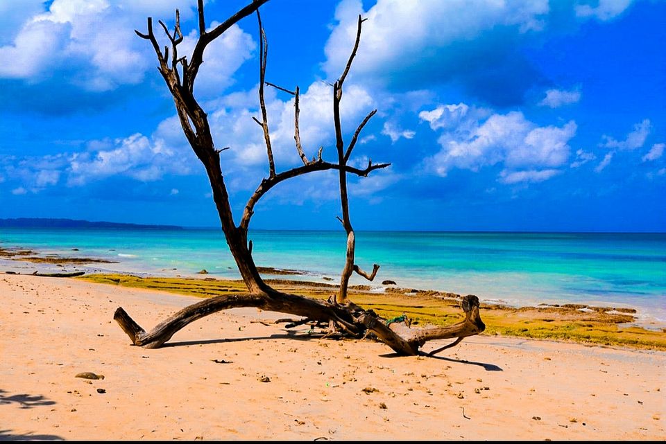 Photo of Elephant Beach by Bratati Adhikari