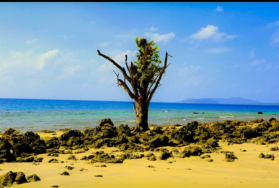 Photo of Elephant Beach by Bratati Adhikari