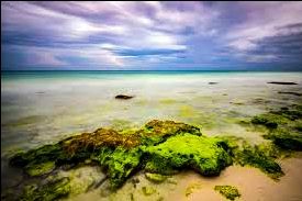 Photo of Kala Pathar Beach by Bratati Adhikari