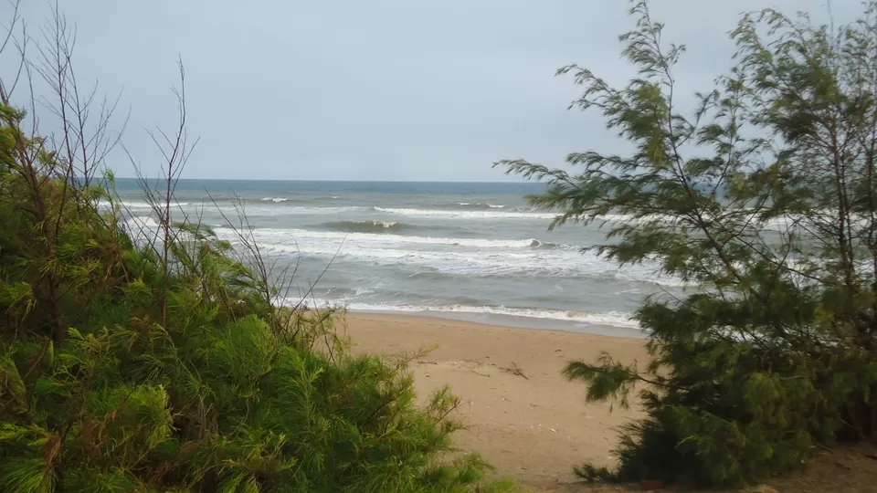 Photo of Toshali Sands Puri, Puri-Konark Marine Drive, Purussottam Nagar, Puri, Odisha, India by Ajay Chakrabarti