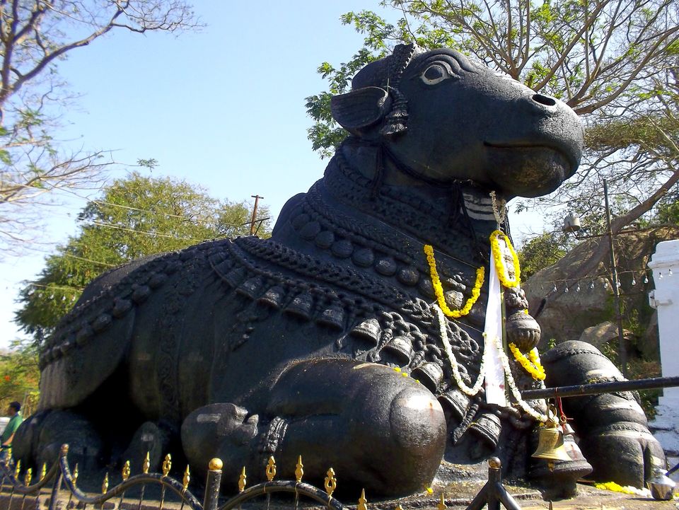 Photo of Mysore: Solo Indian Woman Tripping V1.0 6/6 by Masala Foie Gras