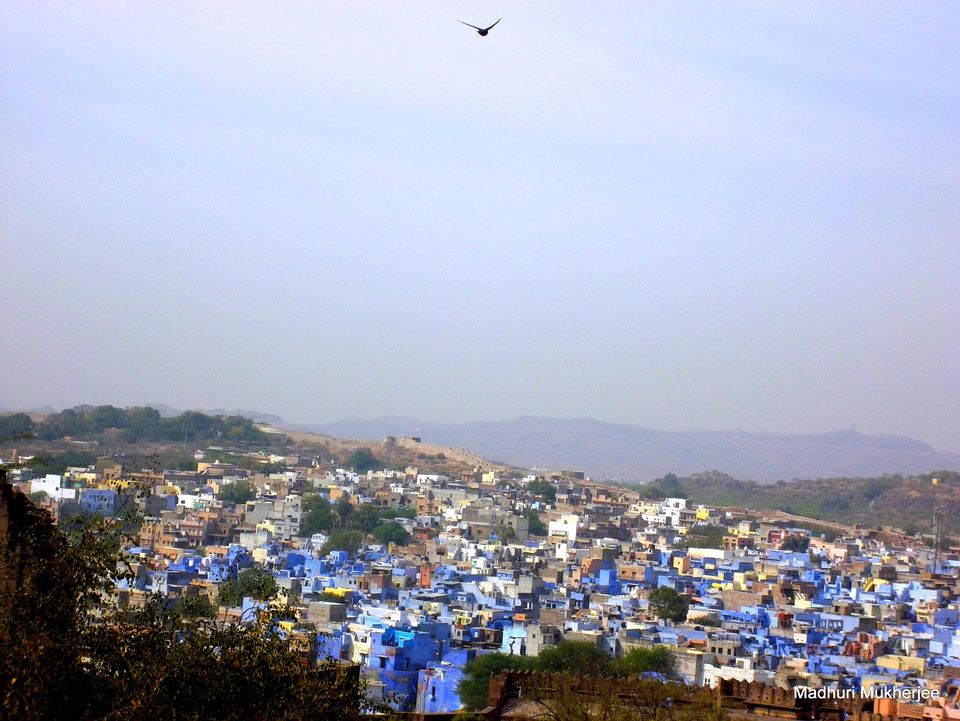 Photo of The Rajasthan Odyssey: Solo Indian Woman Travel V4.0 37/42 by Masala Foie Gras