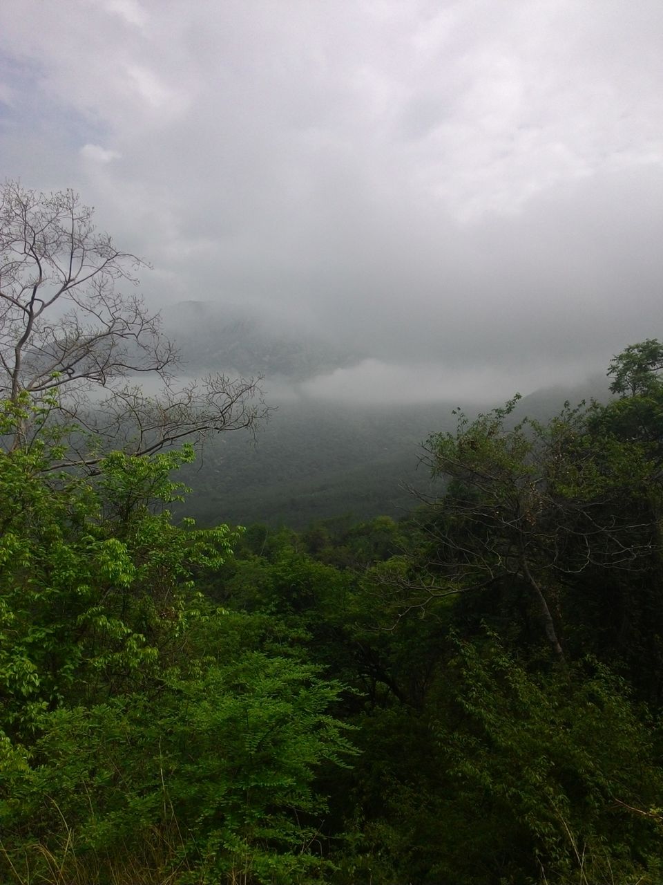 Photo of Kolli Hills, Tamil Nadu, India by Vishal raghav
