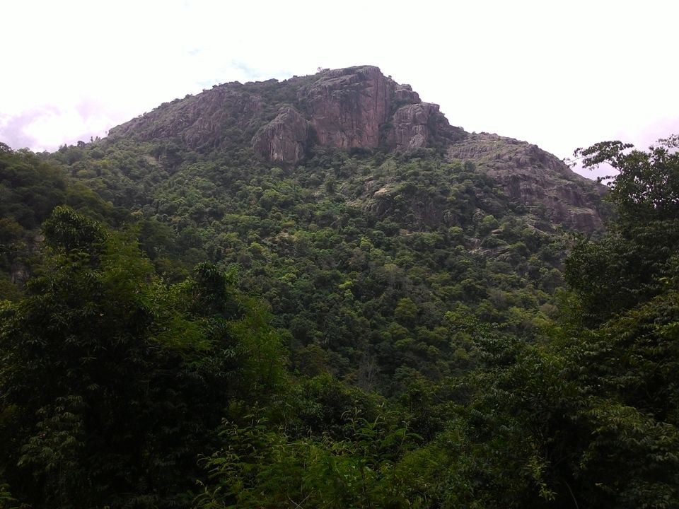 Photo of Kolli Hills, Tamil Nadu, India by Vishal raghav