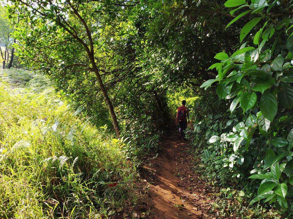 Photo of KUNDREMUKH: TREKKERS PARADISE! by Vishal raghav