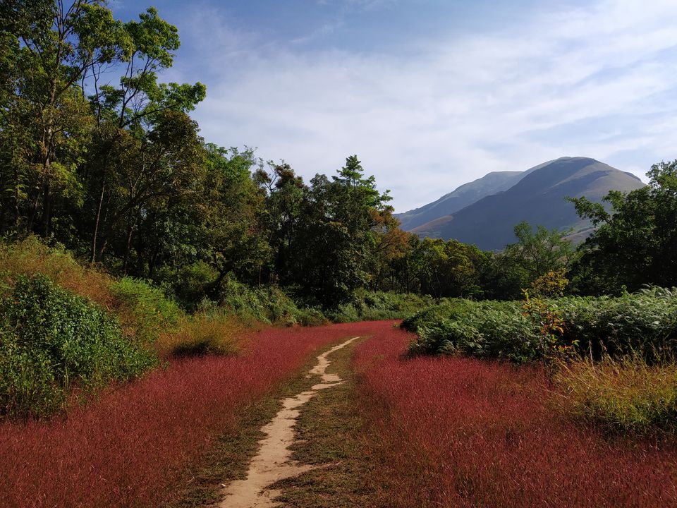 Photo of KUNDREMUKH: TREKKERS PARADISE! by Vishal raghav