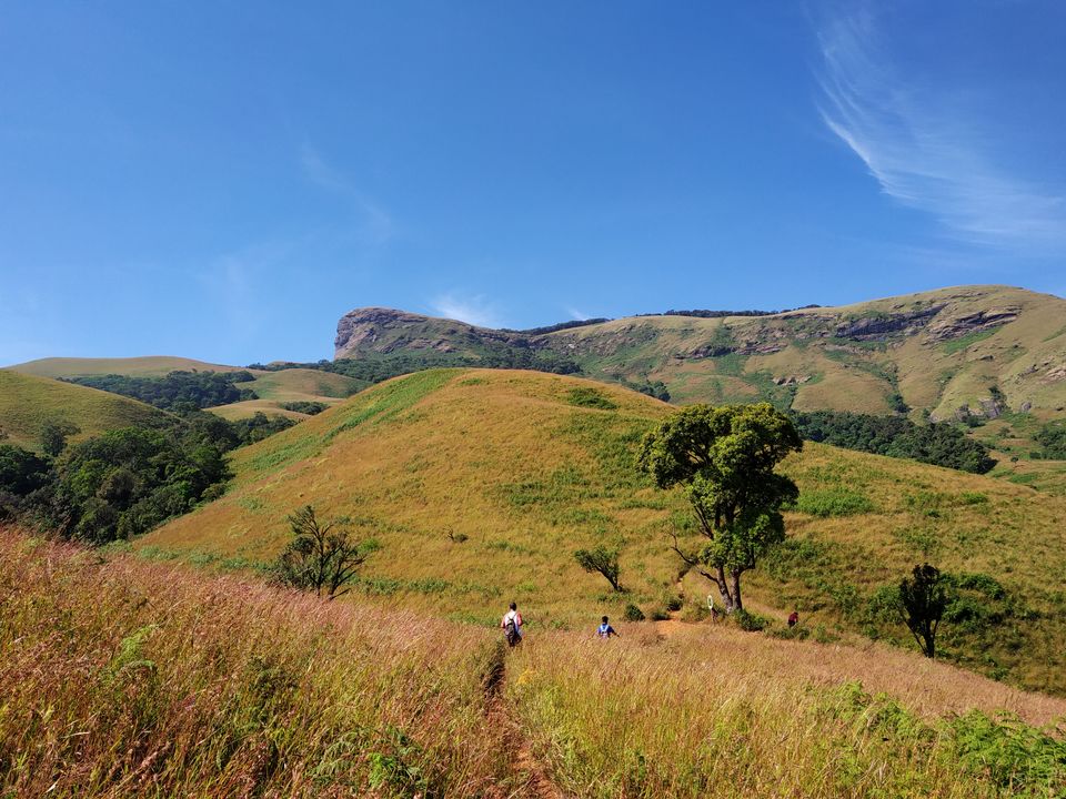 Photo of KUNDREMUKH: TREKKERS PARADISE! by Vishal raghav
