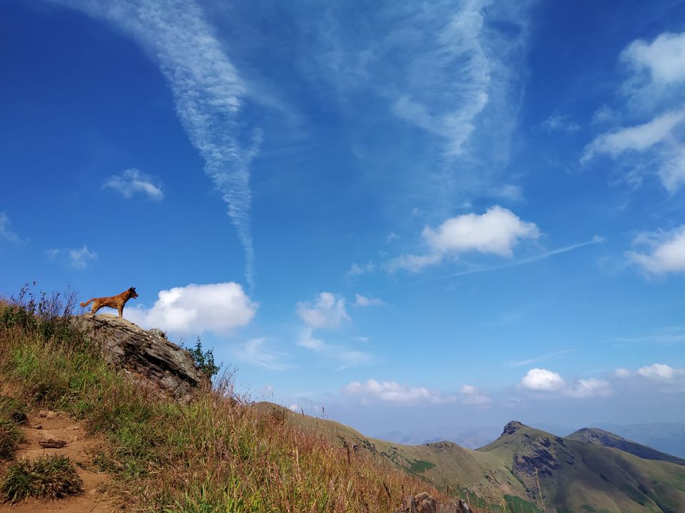 Photo of KUNDREMUKH: TREKKERS PARADISE! by Vishal raghav