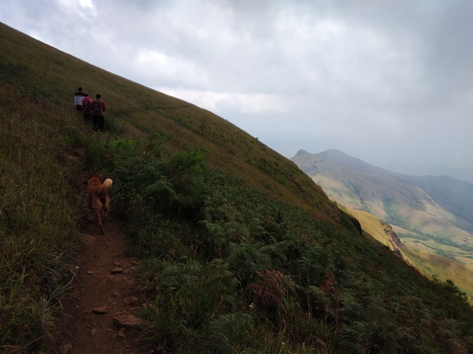 Photo of KUNDREMUKH: TREKKERS PARADISE! by Vishal raghav