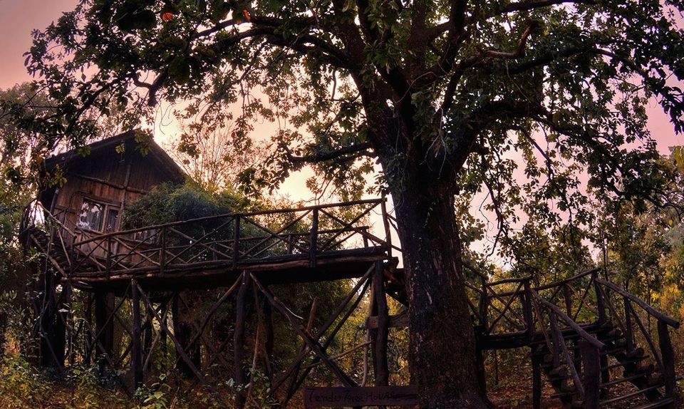 Photo of 3 Forest Getaways In India That Are So Stunning You'll Want To Stay Forever 2/10 by Himani Khatreja