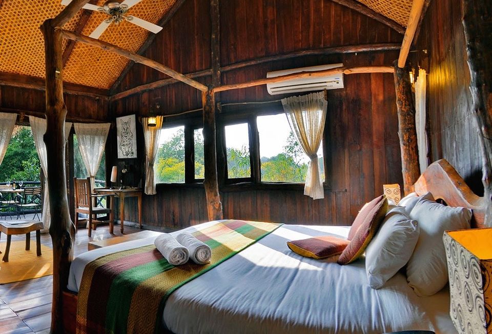 Photo of 3 Forest Getaways In India That Are So Stunning You'll Want To Stay Forever 3/10 by Himani Khatreja