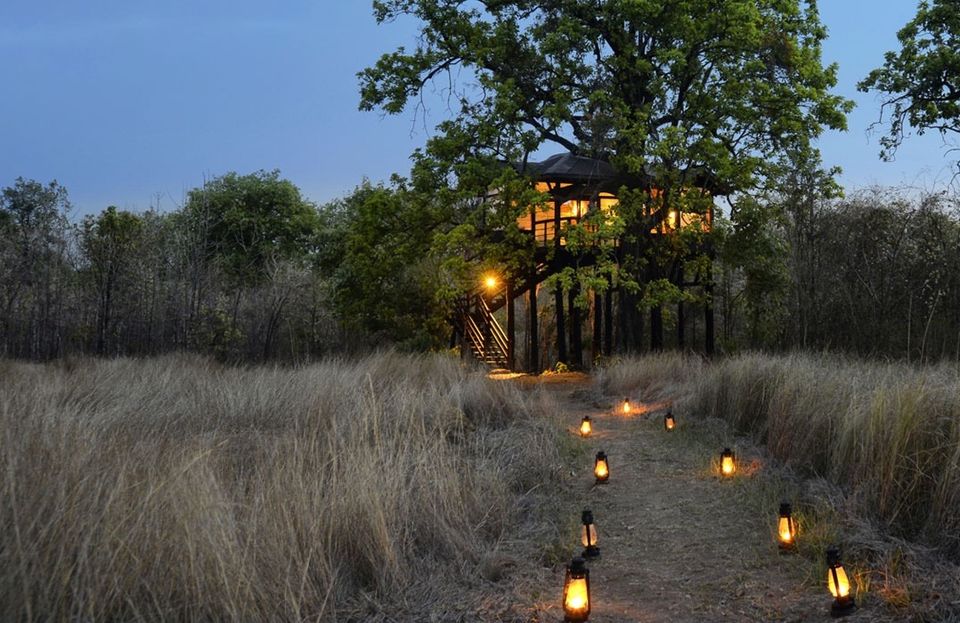 Photo of 3 Forest Getaways In India That Are So Stunning You'll Want To Stay Forever 8/10 by Himani Khatreja