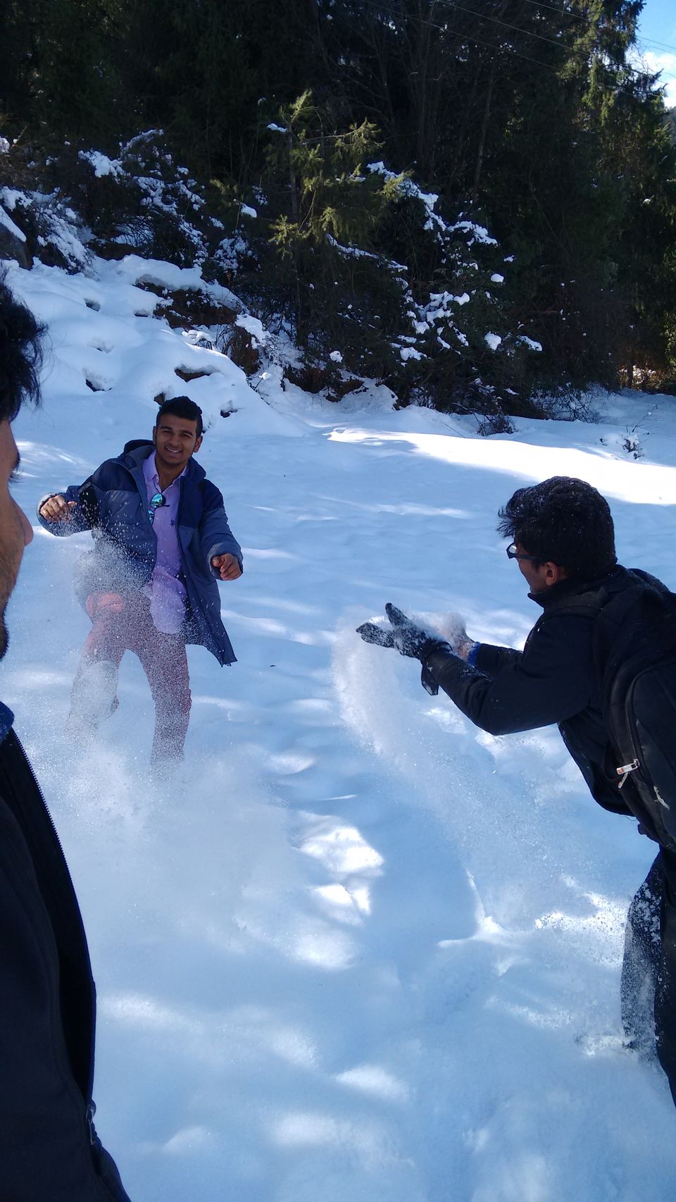 Photo of Powdered snow making it all alive by Jai Prateek
