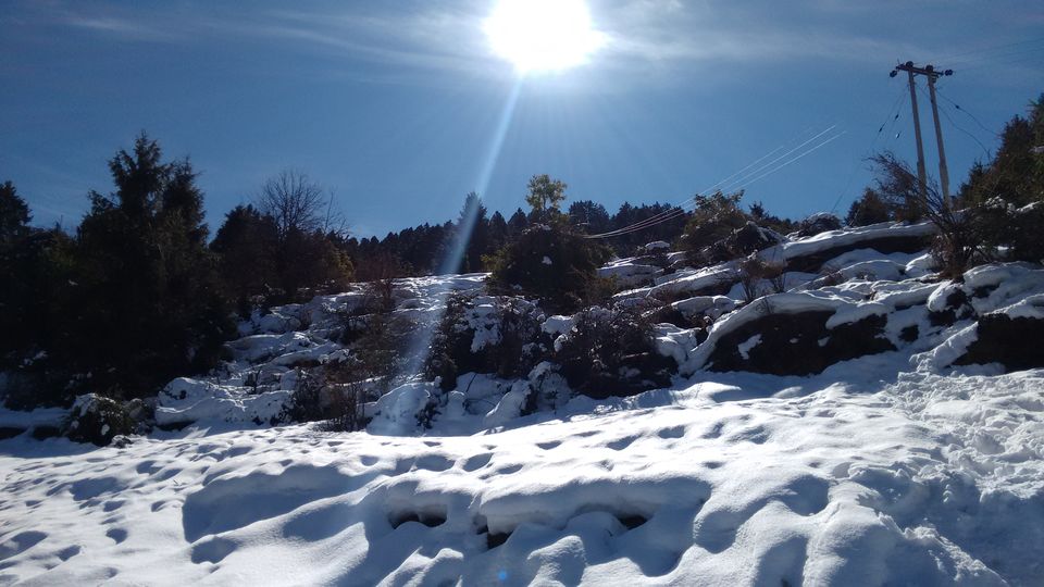 Photo of by Jai Prateek