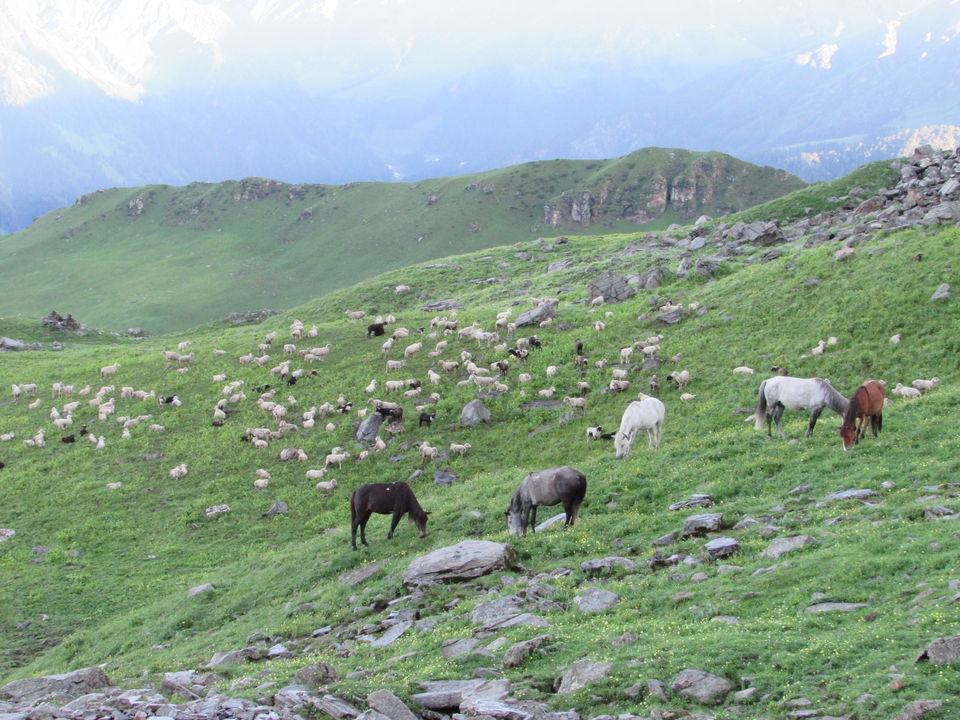 Photo of Manali, Himachal Pradesh, India by Himalayan Mountain Sojourns