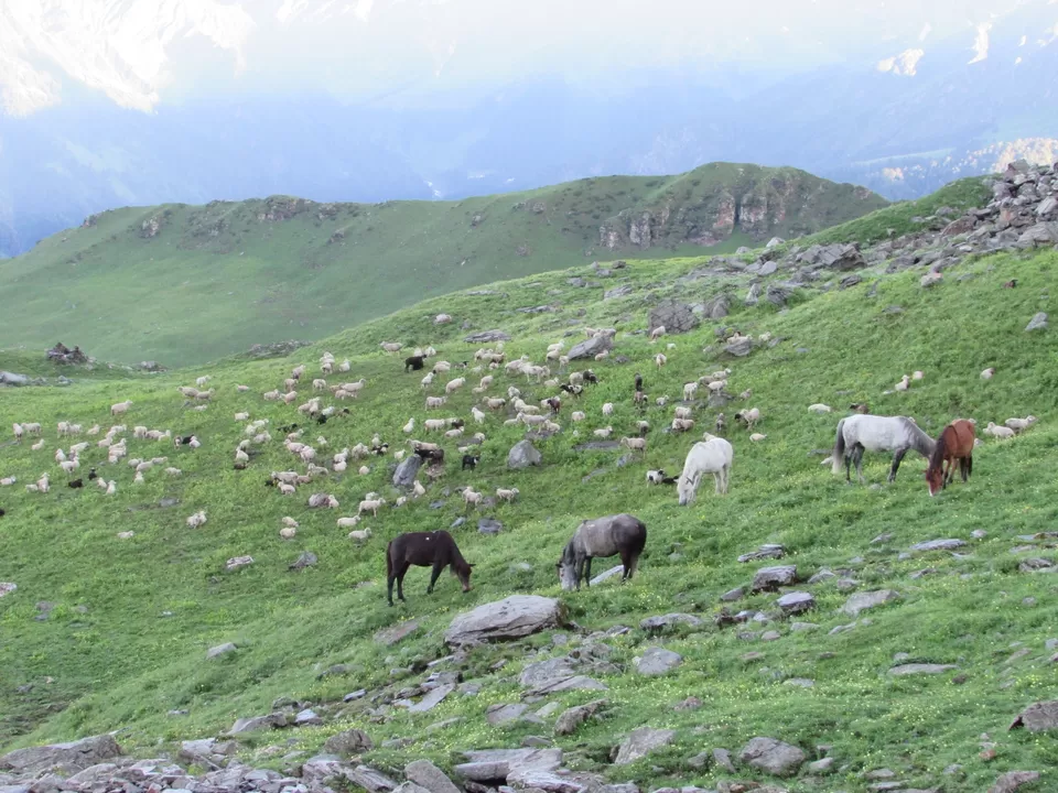 Photo of Manali, Himachal Pradesh, India by Himalayan Mountain Sojourns