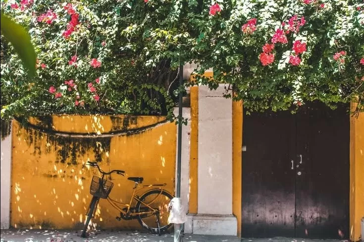 Photo of French memories in a Tamil town by Punyaja Singh