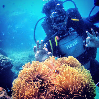 Photo of Why Andaman is a perfect getaway!? by prashanth