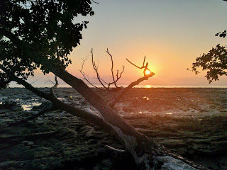 Photo of Andaman Islands, Andaman and Nicobar Islands by prashanth