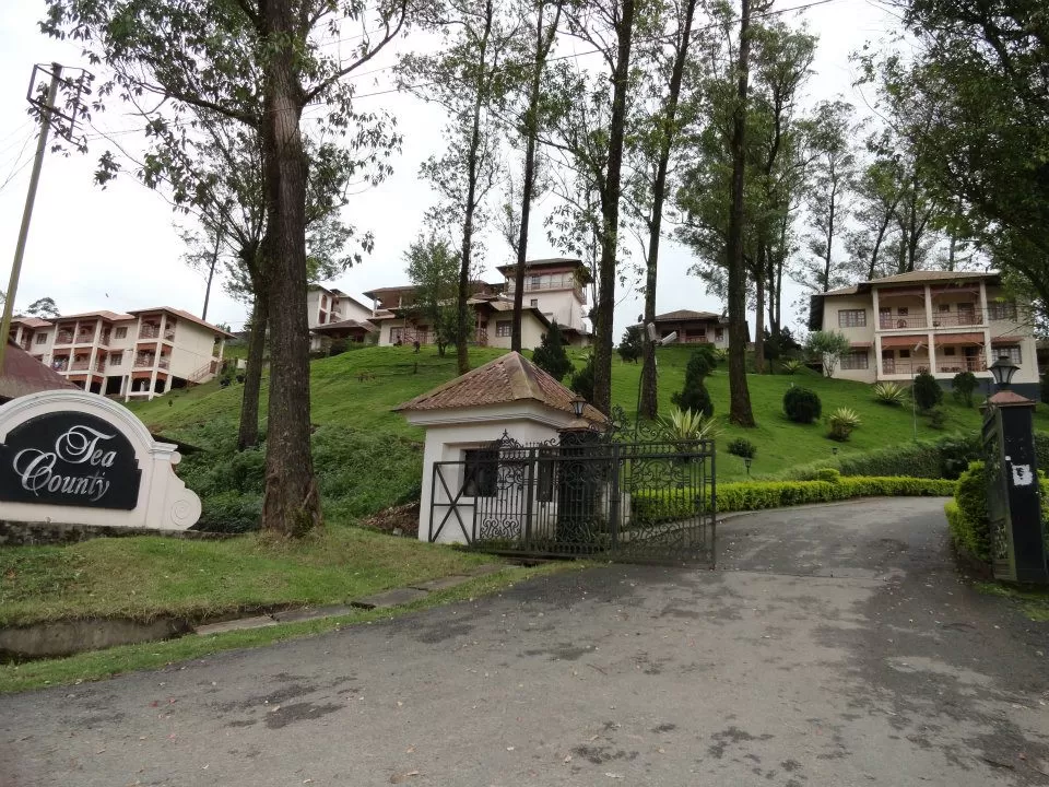 Photo of Munnar, Kerala, India by Inside Out with Rahul Yuvi