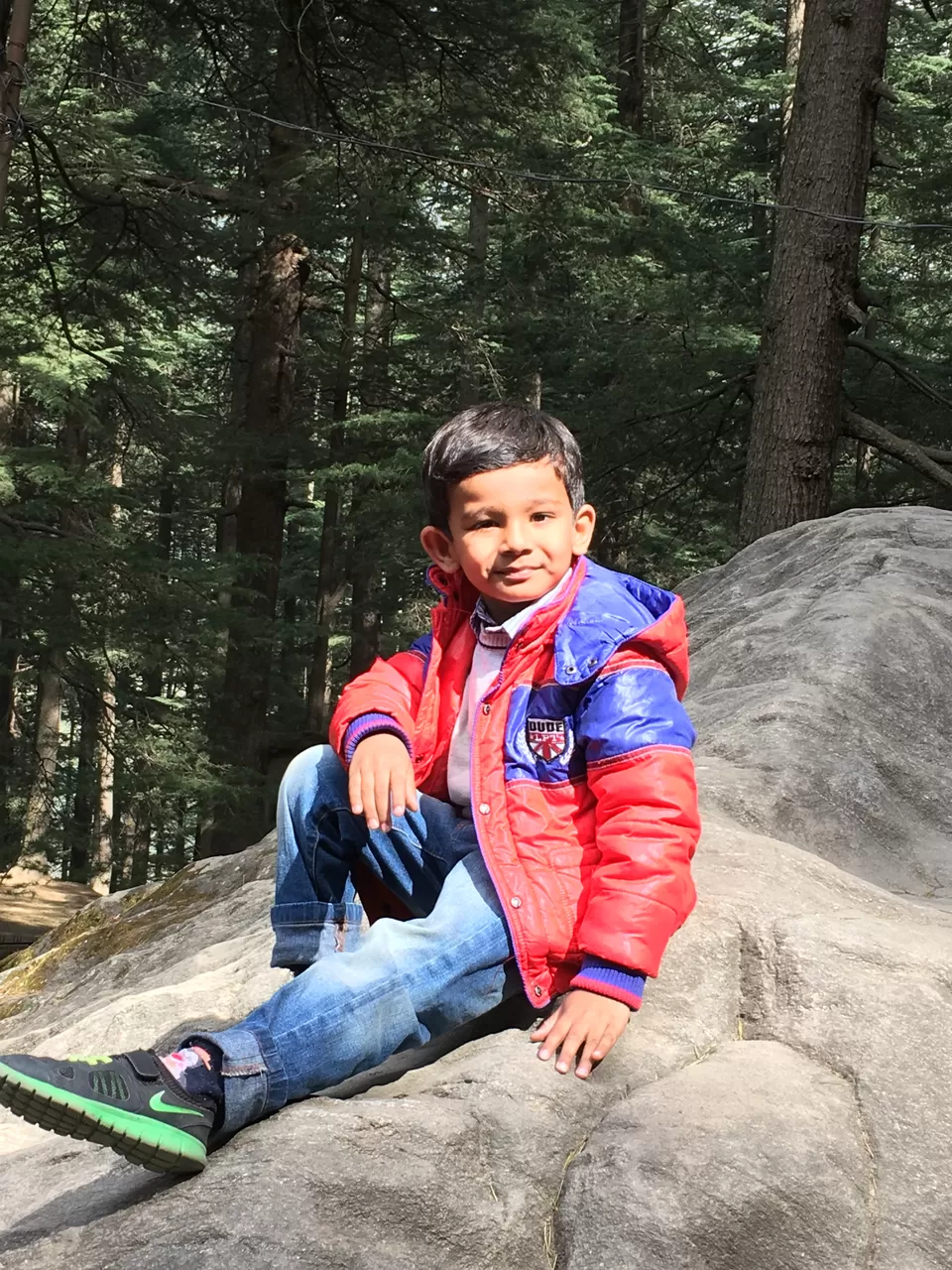 Photo of Hadimba Devi Temple, Old Manali, Manali, Himachal Pradesh, India by Inside Out with Rahul Yuvi