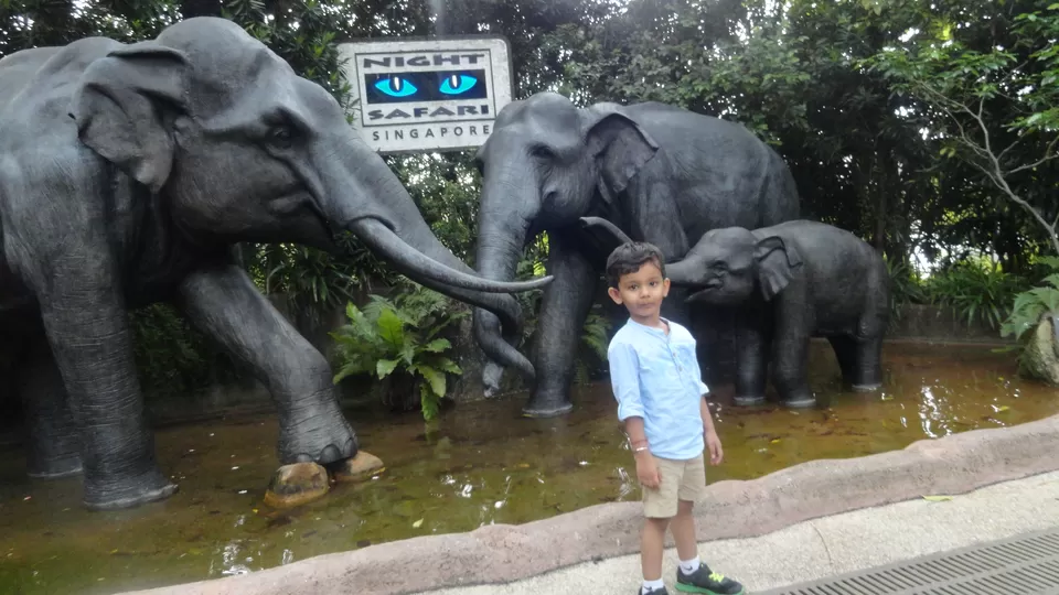 Photo of Mandai Lake Road, Night Safari, Singapore by Inside Out with Rahul Yuvi