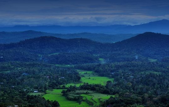 Photo of Kabbe Hills, Coorg : A place worth exploring with family ! by Inside Out with Rahul Yuvi